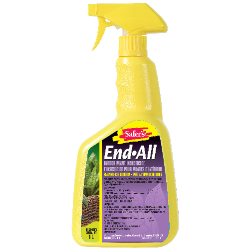 Best insecticide for plants information