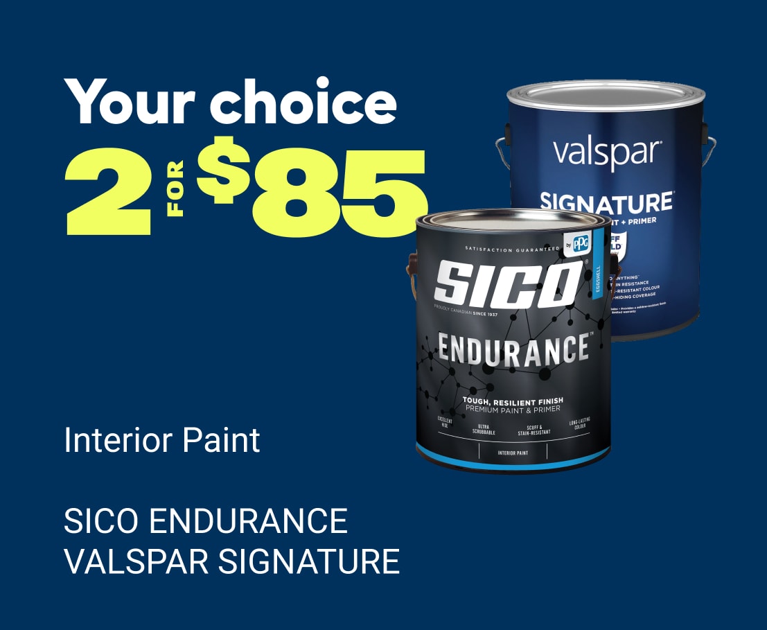 SICO & VALSPAR 85 years RONA promo