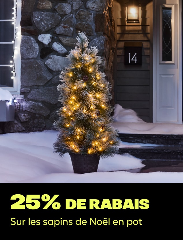 25% de rabais
Sur les sapins de Noël en pot