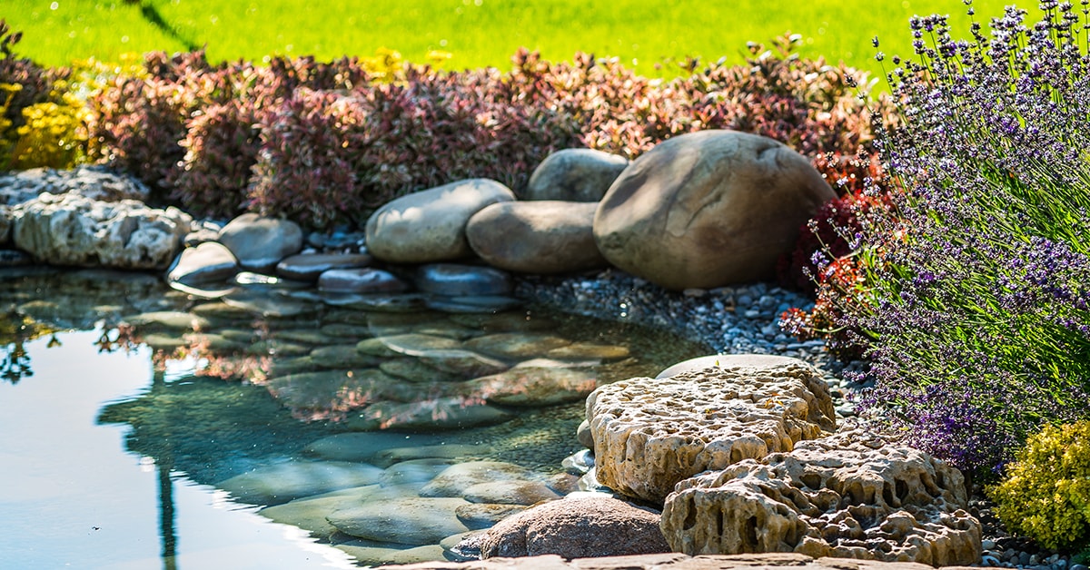 Backyard pond with blooming flowers