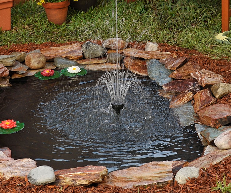 DIY Guide: How to Build a Backyard Fish Pond
