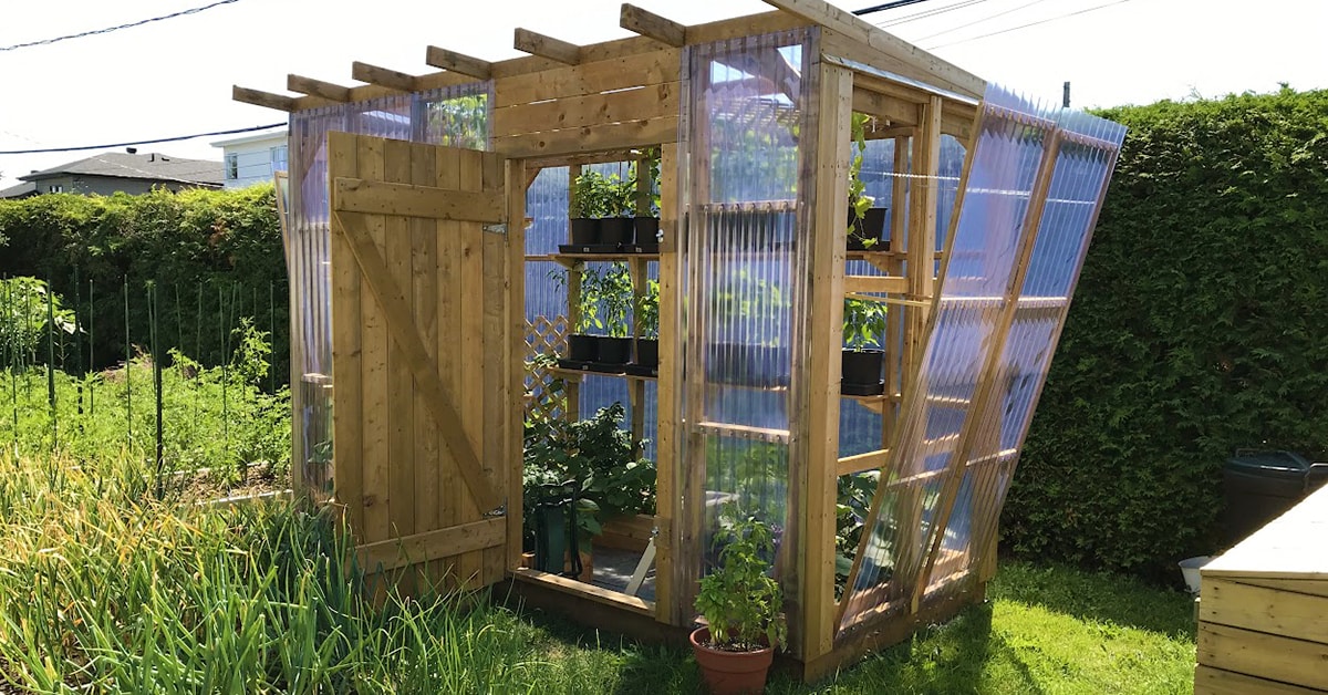 Residential greenhouse made of pressure-treated wood