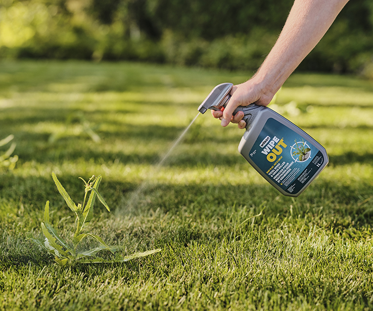 Person applying an herbicide 