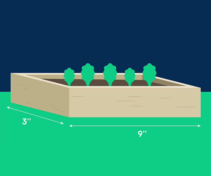 Drawing of a grow tunnel plan