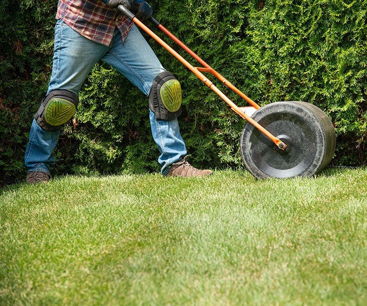 Diy deals grass roller