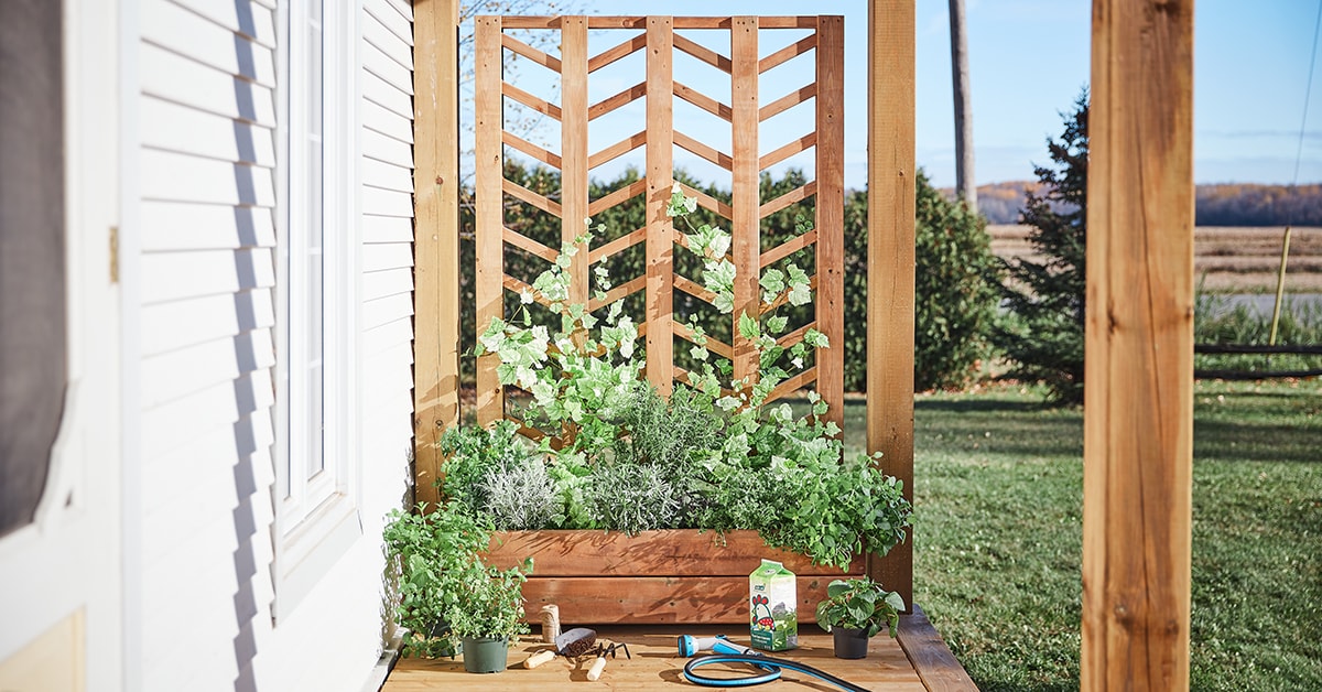 Wooden planter box with trellis on a porch