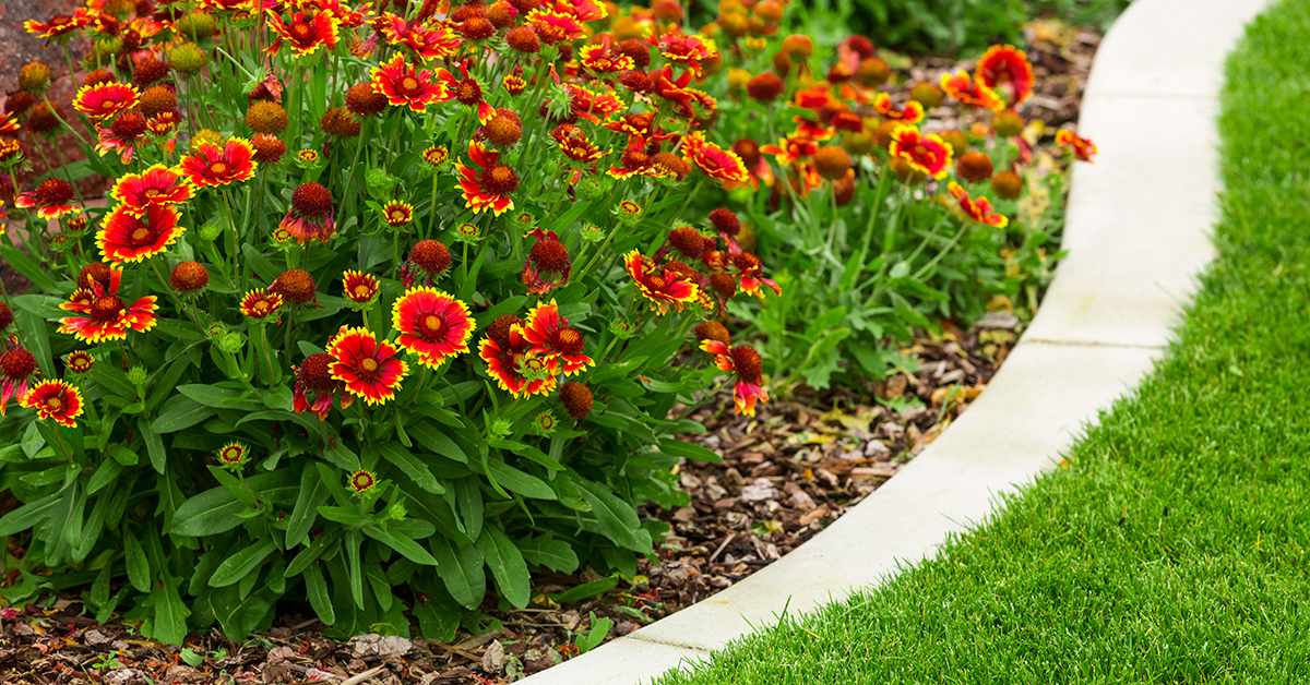 Choisir une bordure de jardin flexible - tout savoir sur la