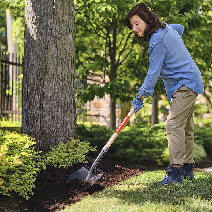 Person tending a flower bed