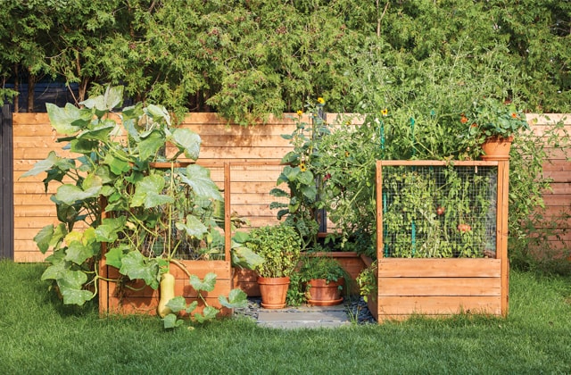 Pulvérisateur De Jardin De Pesticides D'engrais, Arrosoir Et Quelques  Outils De Jardin Sur La Pelouse Avec L'herbe Verte