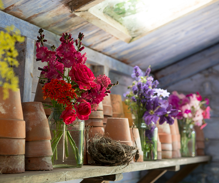 Gardening corner in a shed 