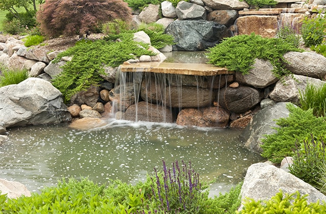 Ornement extérieur : que choisir entre bassin de jardin et fontaine ? –