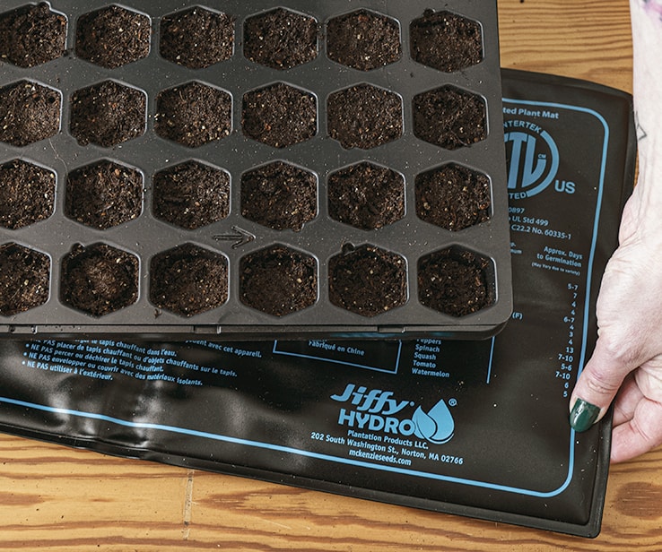 Woman inserting a heating pad underneath a seedling tray