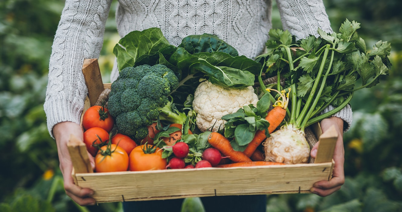 Femme tenant un panier de légumes du jardin