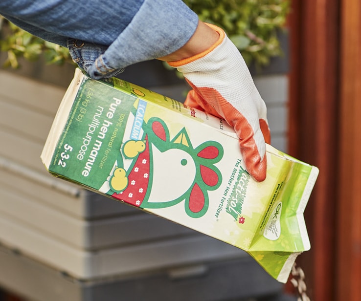 Person adding fertilizer to a container garden