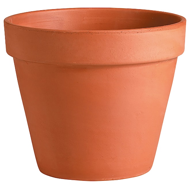 A terracotta planter