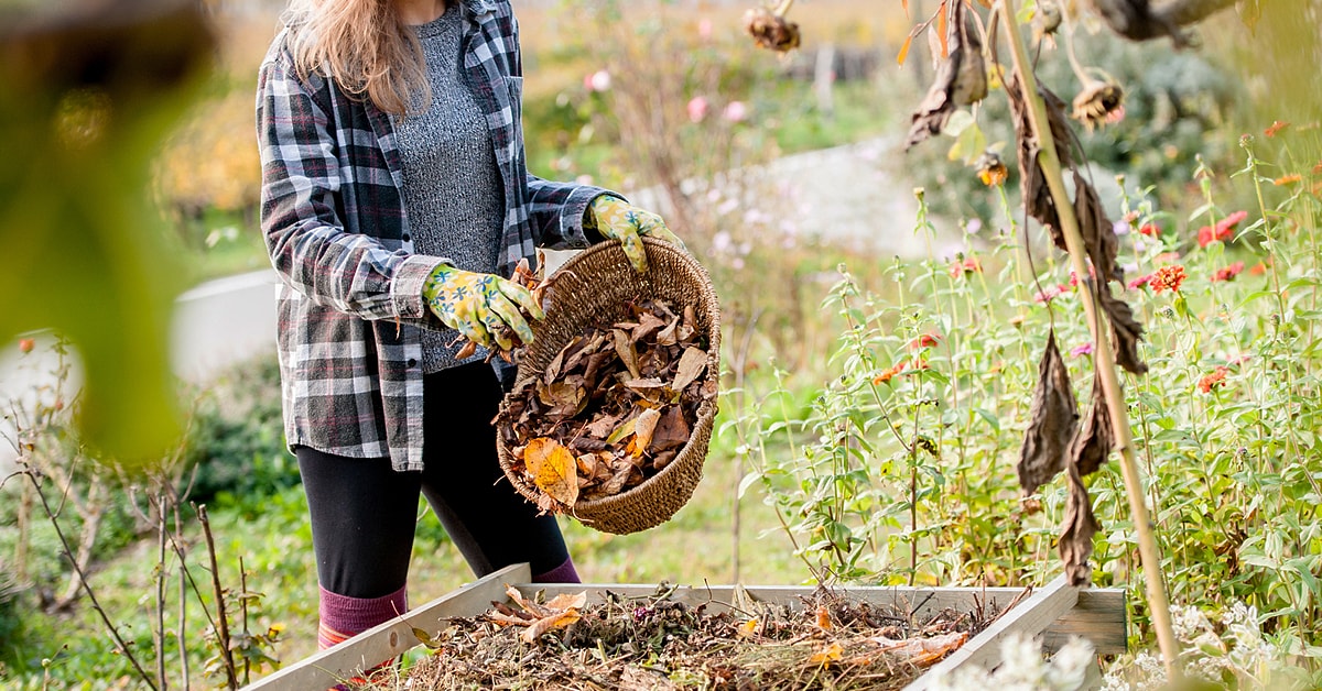 Comment nettoyer et entretenir ses outils de jardin en fin de saison ?