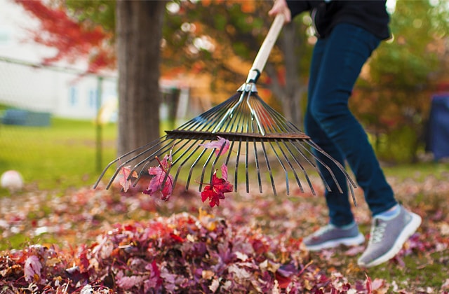 10 conseils pour préparer son jardin pour l'automne