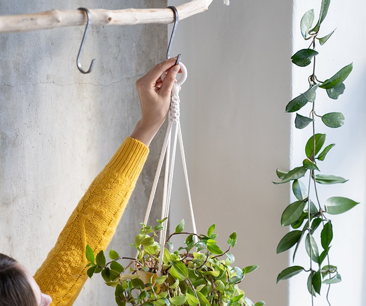 Crochet à plante pour plafond suspendu - 8 lbs - Blanc