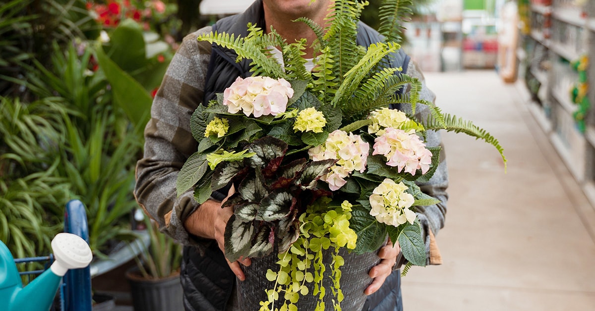 Homme tenant une jardinière remplie de fleurs