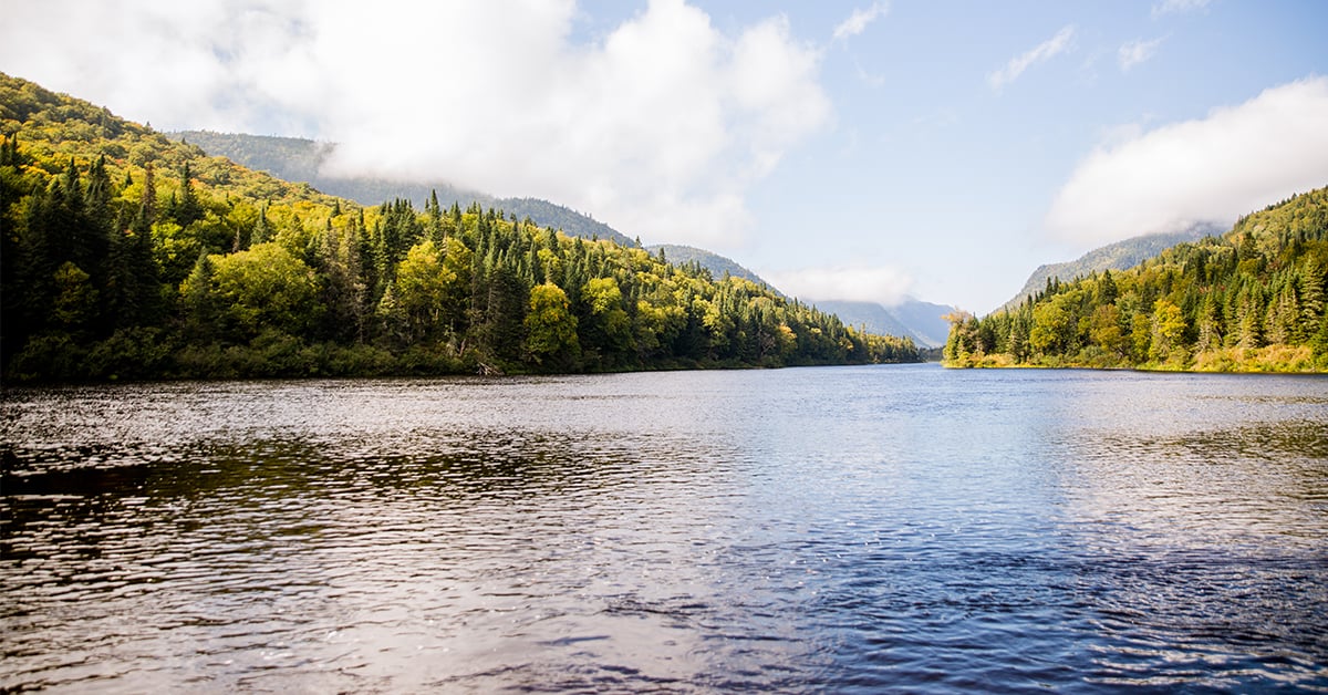 8 trucs pour économiser l’eau