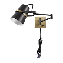 Matte black and brass wall sconce