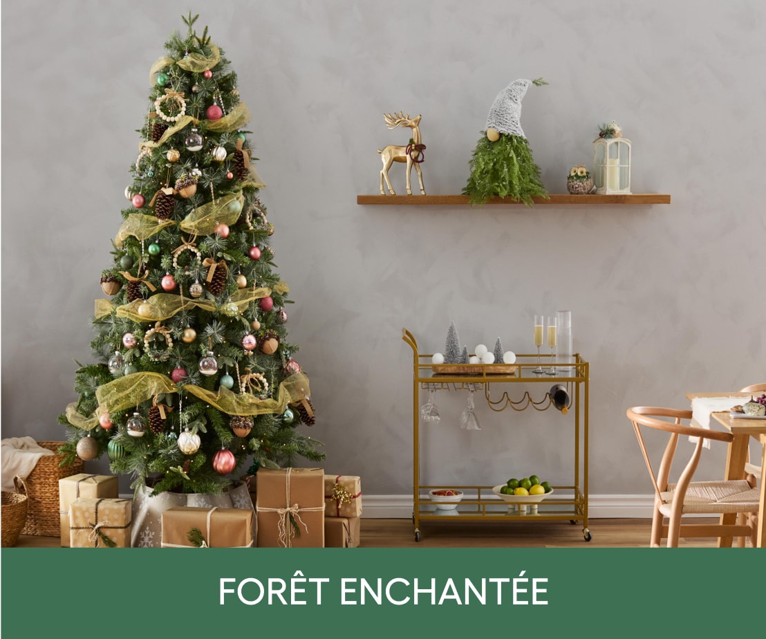 Forêt enchantée 