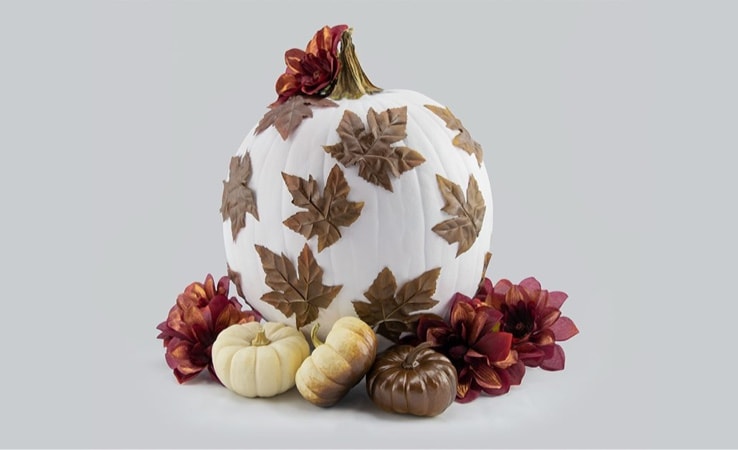  DIY Pumkin Project