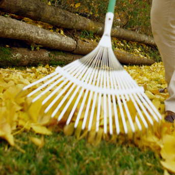 Râteau à Feuilles, râteau à Gazon pour Un Nettoyage Rapide de la pelouse,  de la Cour, du râteau à Feuilles de Jardin en Acier, poignée Ergonomique